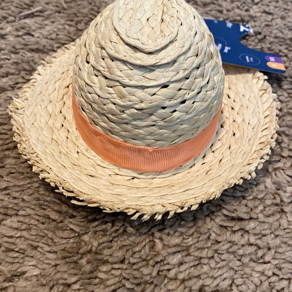 Dog small straw hat